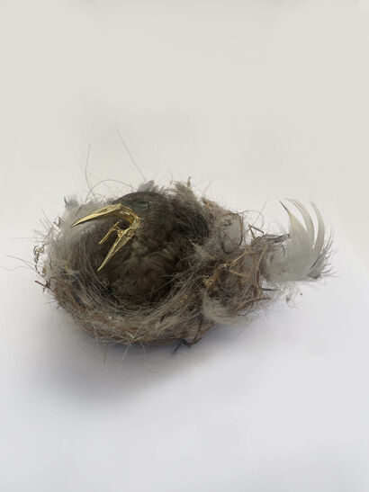 Bird in the Nest - a Sculpture & Installation Artowrk by Emer Roberts